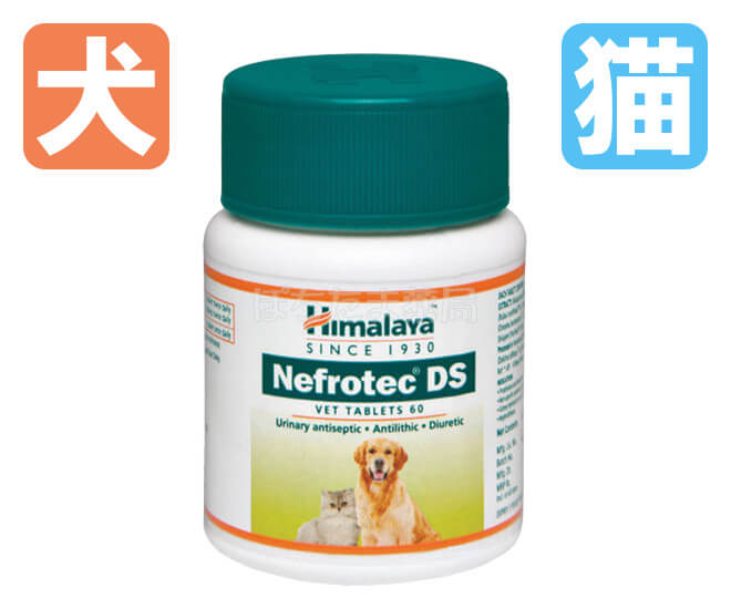 ネフロテックDS